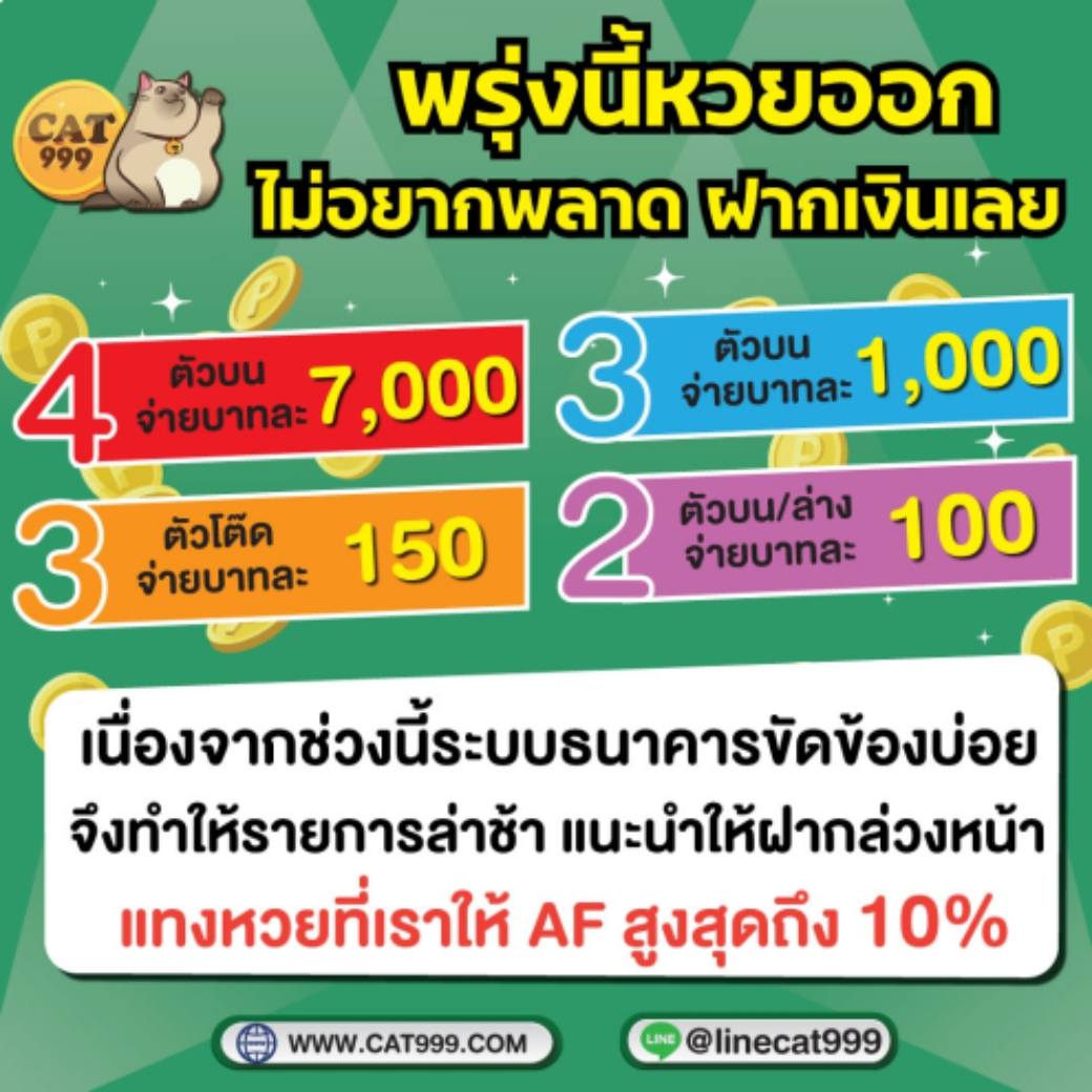 cat999