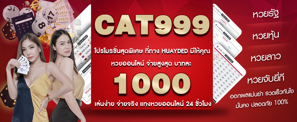 cat999