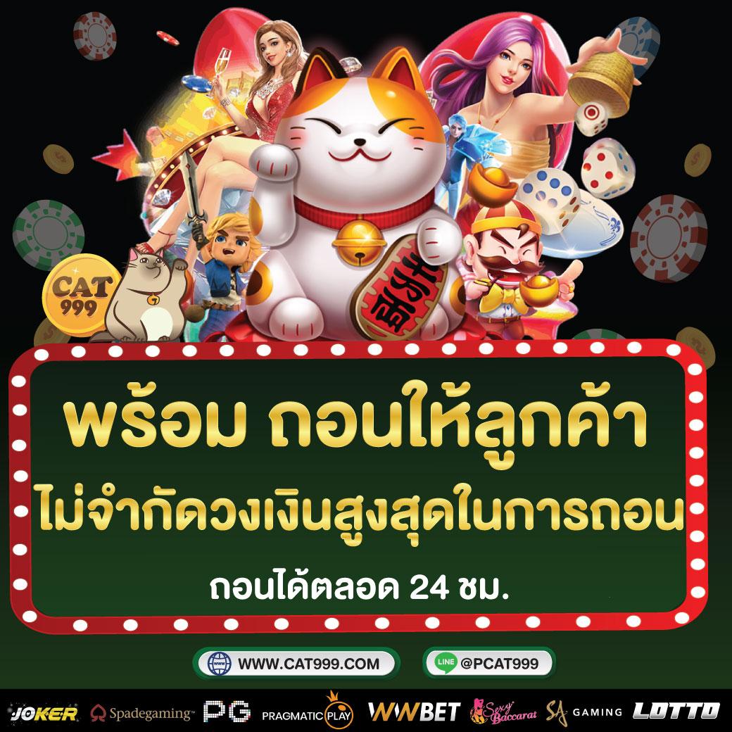 cat999